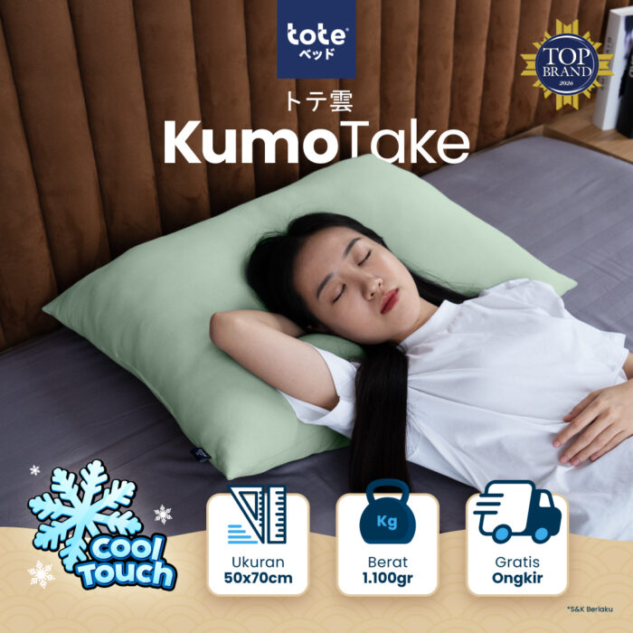 Tote Kumo Take Pillow | Bantal Dingin Cool Touch Ukuran Besar - Image 1