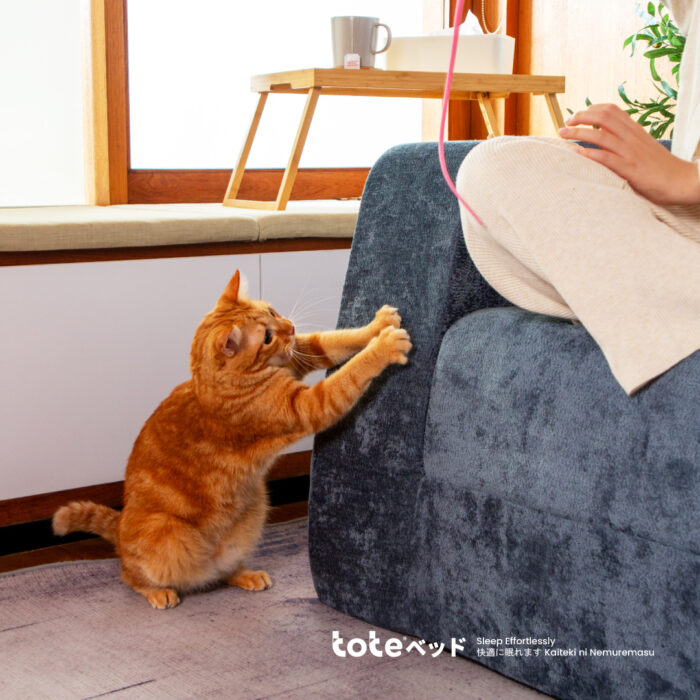 Tote Tatami Petto | Pet Friendly Sofa Tahan Cakaran Kucing - Gambar 8