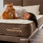 Tote Yama Petto | Kasur Pet Friendly Pocket Spring Bed - Gambar 4